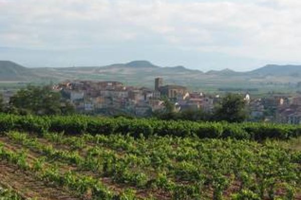 panoramica-1A0430986-4CA5-6C97-7130-DE69456CC29B.jpg